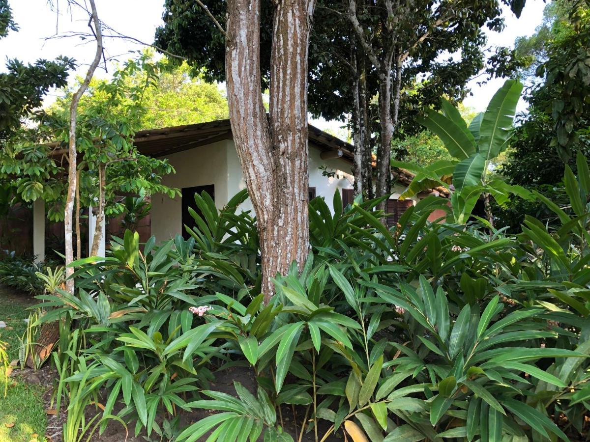 Casa Aracuã Trancoso Villa Dış mekan fotoğraf